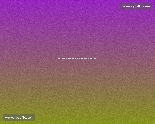 金李vs新时代竞技格局下的实力对决与影响解析全景观察深度解读